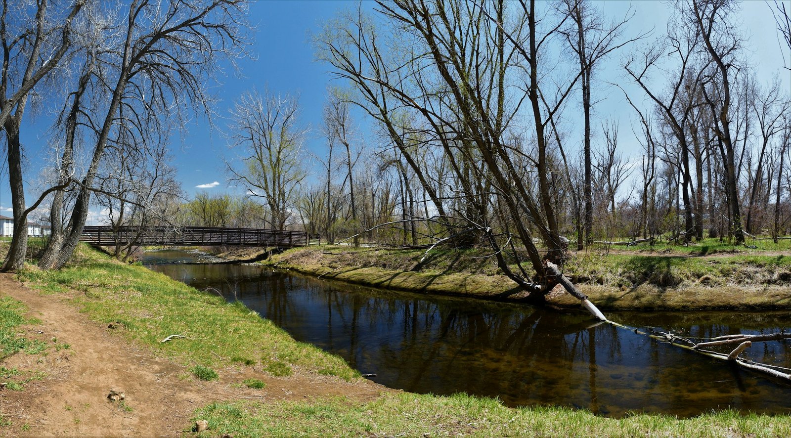 Wetland Restoration in Warrenton